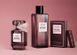 Парфумований міст для тіла Victoria's Secret Tease Cocoa Soir&eacute;e має дефект VS00234 фото 3