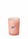 Ароматизована свічка на 1 ґніт PINK Victoria's Secret Warm & Cozy PN00084 фото 1