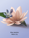 Міст для тіла Victoria's Secret Feel Refreshed Blue Jasmine Water Lily VS00466 фото 2