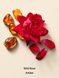 Кремовий гель для душу Victoria's Secret Feel Desire Wild Rose Amber VS00451 фото 2