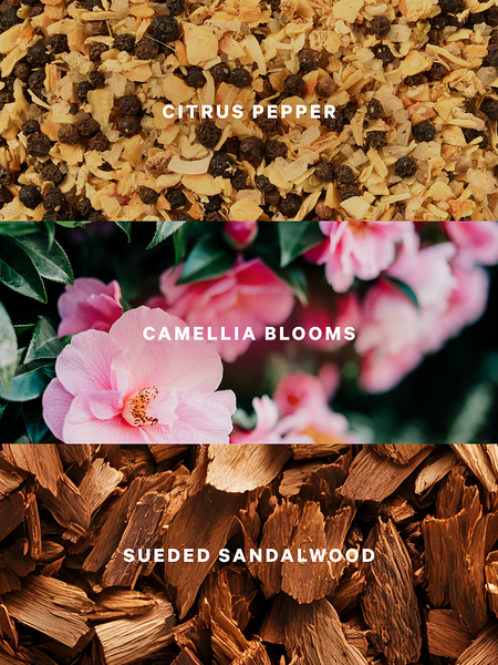 Міст для тіла Victoria's Secret Camellia Sunset VS00504 фото