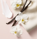 Міні-міст для тіла Victoria's Secret Bare Vanilla VS00145 фото 2