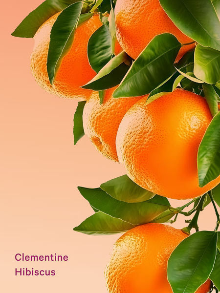 Міст для тіла Victoria's Secret Feel Energized VSX Clementine Hibiscus VS00474 фото
