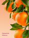 Міст для тіла Victoria's Secret Feel Energized VSX Clementine Hibiscus VS00474 фото 2