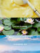 Міст для тіла Victoria's Secret Lotus Cloud VS00508 фото 2