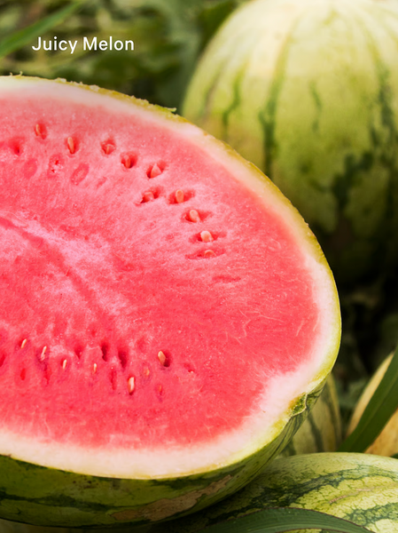 Блиск для губ Victoria's Secret Juicy Melon VS00482 фото