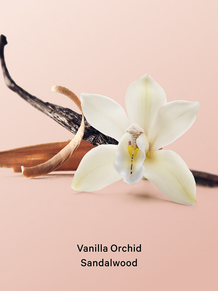Міст для тіла Victoria's Secret Feel Comfort Vanilla Orchid Sandalwood VS00445 фото